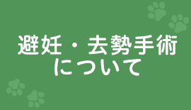 避妊・去勢手術について