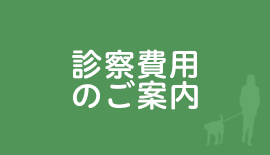 診療費用のご案内